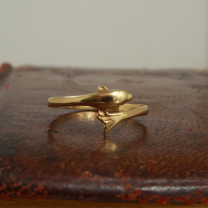 Dolphin Ring (1989)