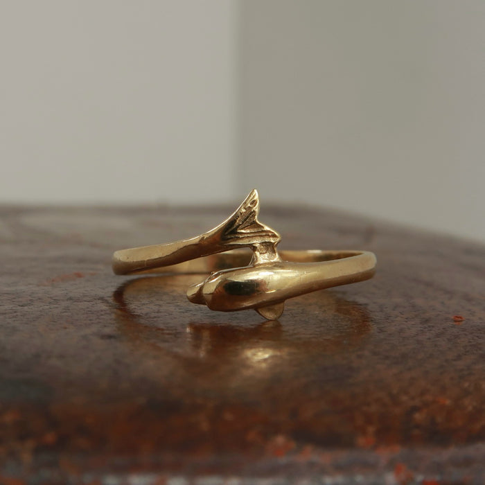 Dolphin Ring (1989)